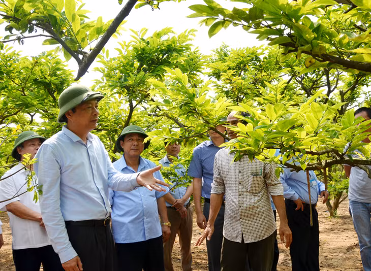 Đồng chí Nguyễn Văn Đọc, Bí thư Tỉnh ủy, Chủ tịch HĐND tỉnh kiểm tra mô hình vườn mẫu của gia đình ông Đỗ Văn Hân, thôn Khê Thượng, xã Việt Dân, TX Đông Triều