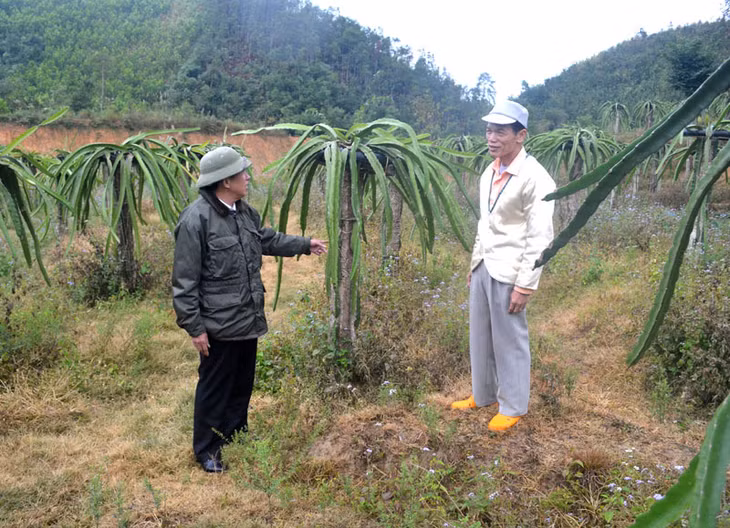Ông Hà Xuân Tiến (bên phải) đang trao đổi về kỹ thuật trồng thanh long với người dân trong thôn trên ruộng thanh long nhà mình