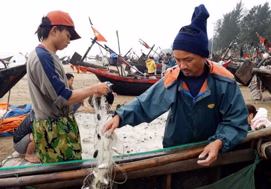  Sáng 21-2 (mùng 6 Tết Mậu Tuất), hàng chục thuyền bè của ngư dân Sầm Sơn (Thanh Hóa) đã trúng đậm “lộc biển” ngay trong chuyến ra khơi đầu tiên. Ảnh: NLĐ. 