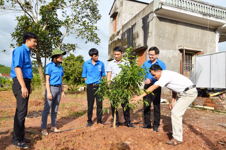 Tỉnh đoàn hỗ trợ 10 triệu đồng xây dựng “Vườn mẫu” NTM cho đoàn viên Phan Đình Dương, thôn Hội Phố, xã Đông Hải, huyện Tiên Yên