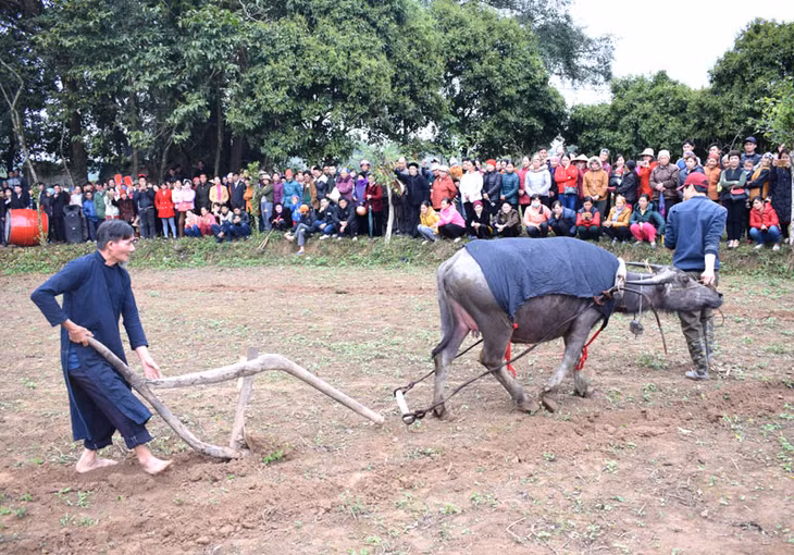 Đường cày đầu năm trong lê Lồng Tồng