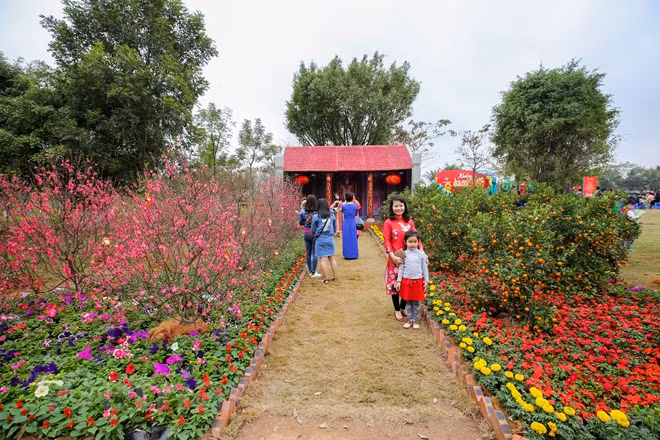 Đúng như tên gọi Xuân ba miền, lễ hội tái hiện lại hoàn hảo không gian truyền thống Tết của ba miền đất nước Bắc -Trung - Nam với đường hoa đào đỏ thắm, hoa mai vàng rực, con đường lồng đèn Hội An, chợ nổi miền Tây… (Ảnh: Minh Sơn/Vietnam+)