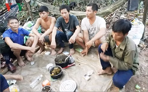 Các đối tượng bị bắt giữ khi đang phá rừng tại tỉnh Quảng Bình