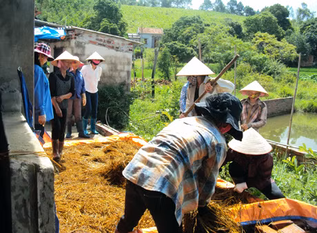 Các học viên thực hành các bước trồng nấm rơm tại lớp nghề trồng nấm đầu tiên do Trung tâm mở tại xã Lê Lợi. Ảnh: TL