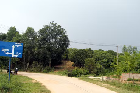 Đồi Đình ở xã An Sinh, nơi có đền Thái toạ lạc...