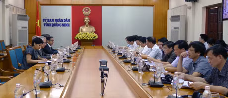 UBND tỉnh làm việc đơn vị tư vấn Perkins Will (Hoa Kỳ) và Aurecon (Úc) ảnh 1