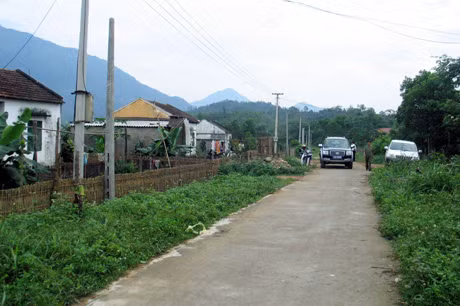 Điện lưới quốc gia đã về với thôn kinh tế mới Tân Lập, xã Quảng Đức (Hải Hà).