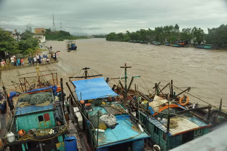Nước lũ dâng cao, bà con ngư dân cần đặc biệt chú ý đến việc chằng chống tàu thuyền khi neo đầu (trong ảnh nhiều tàu thuyền neo đậu trên sông Hà Cối (Hải Hà) có có nguy cơ bị chìm do nước lũ chảy xiết)