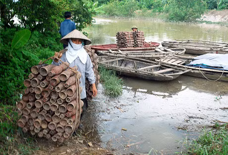 Chiều về người bắt cáy gánh trĩu bờ vai.