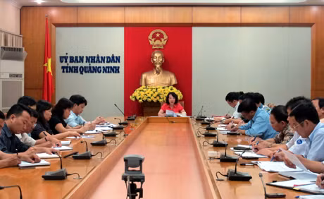 Quang cảnh buổi làm việc.