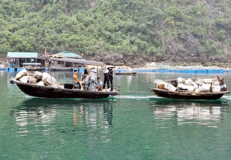 Rác thải (đa số là mảnh thùng, phao xốp), nhân viên BQL Vịnh Hạ Long thu gom tại làng chài Cửa Vạn.