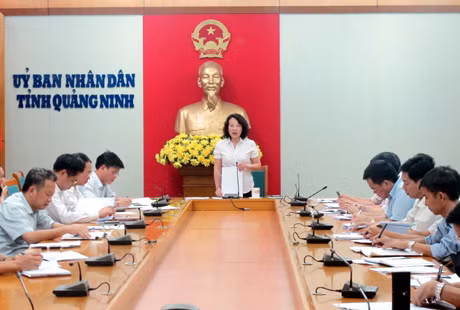 Đồng chí Vũ Thị Thu Thuỷ, Phó Chủ tịch UBND tỉnh phát biểu kết luận buổi họp.