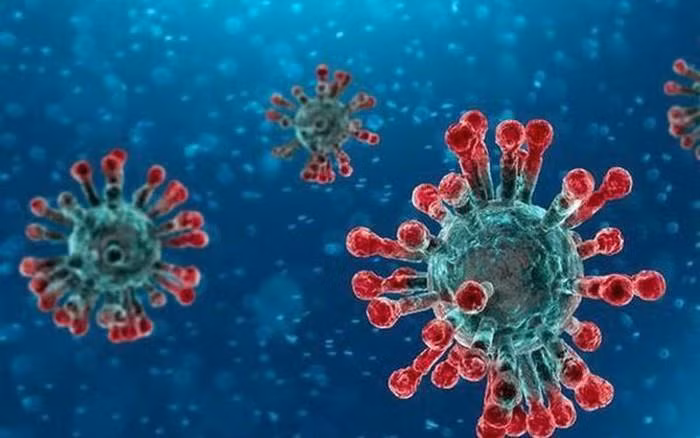 Tên của virus corona có từ ngày 11/2 là SARS-CoV-2.