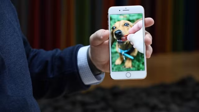 iPhone 9 sẽ ra mắt vào 31/3, trước khi chính thức bán ra vào ngày 3/4