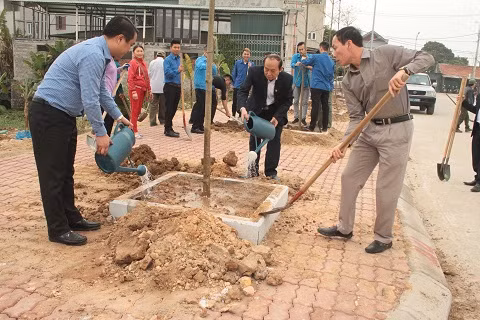 Hàng vạn cây các loại đã được trồng mới trên Đảo ngọc Tuần Châu trong những năm qua