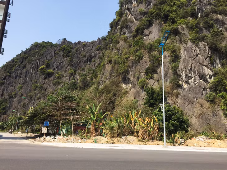 Khu vực triển khai dự án Khu vườn cây xanh chân hòn Cặp Bè (phường Bạch Đằng)