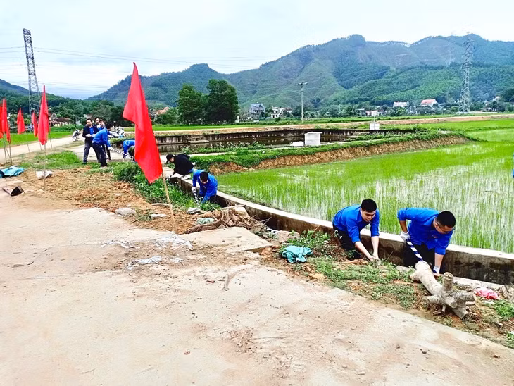 Tuổi trẻ TP Cẩm Phả tham gia chung sức xây dựng nông thôn mới. Ảnh: Hoàng Anh