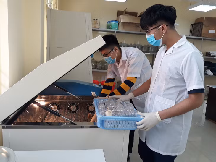 EM Vũ Đức Minh và Cao Mạnh Hùng