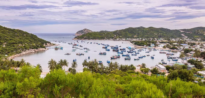 Để tới Hang Rái, từ TP HCM du khách bắt xe khách hoặc tự lái đến Phan Rang, Ninh Thuận với khoảng cách 350 km. Còn từ Hà Nội, bạn có thể bay tới sân bay Cam Ranh, rồi từ đây đón xe đi thêm 80 km về Phan Rang. Sau đó, bạn theo đường biển Ninh Chữ đến cầu Trị Thủy và đi tiếp quốc lộ 702 khoảng 35 km là đến Hang Rái ở phía nam vịnh Vĩnh Hy (ảnh), thuộc xã Vĩnh Hải, huyện Ninh Hải. Ảnh: Phạm Tuấn Anh​.