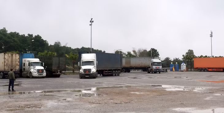 Hàng nhập khẩu vào khu vực kiểm tra, bốc xếp hàng hóa của Công ty CP XNK Quốc tế Tân Đại Dương. 