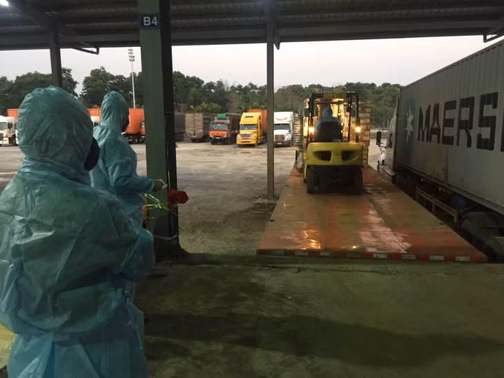 Chi cục Hải quan cửa khẩu quốc tế Móng Cái kiểm tra hàng hóa trước khi thông quan tại cầu Bắc Luân II, ngày 18/2/2020ng 10/2019.