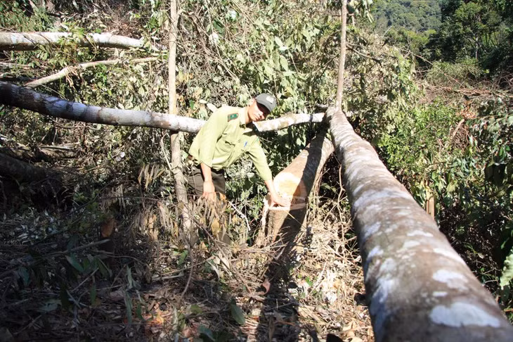  Hiện trường vụ việc.