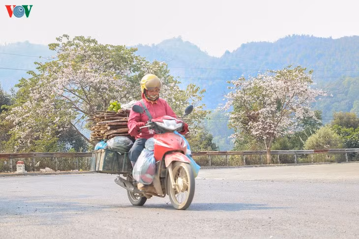 Cũng như tạo điểm nhấn cho các cung đường lên Tây Bắc - Điện Biên.