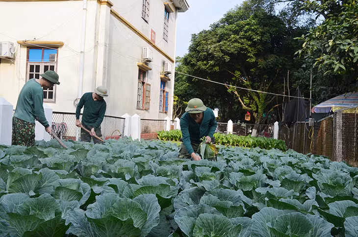 ĐVTN Đồn Biên phòng Hải Hòa thi đua tăng gia sản xuất cải thiện bữa ăn cho bộ đội.
