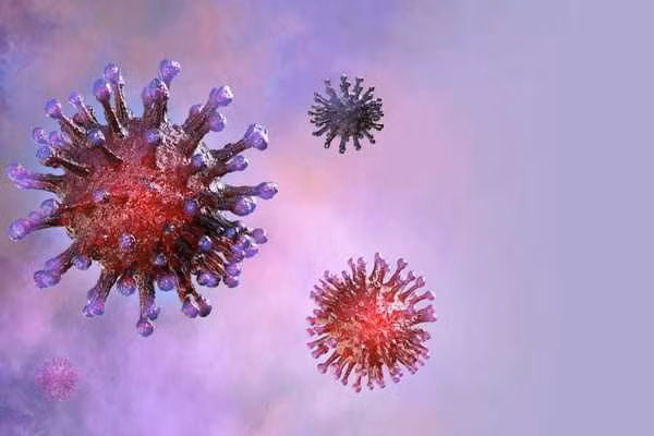 Virus SARS-CoV-2 (trước đây gọi là 2019 -nCoV)