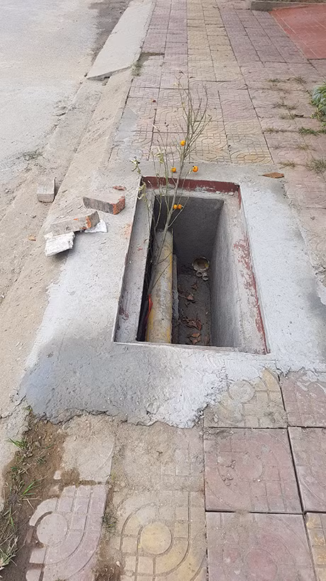 Người dân tự cắm cành cây xuống hố để cảnh báo nguy hiểm