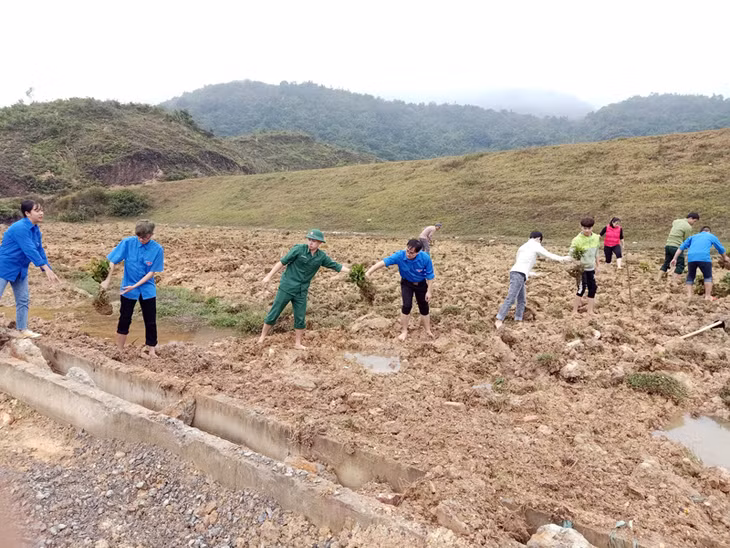 ...và trồng hơn 1.500 cây hoa sim, mua dọc các tuyến đường.
