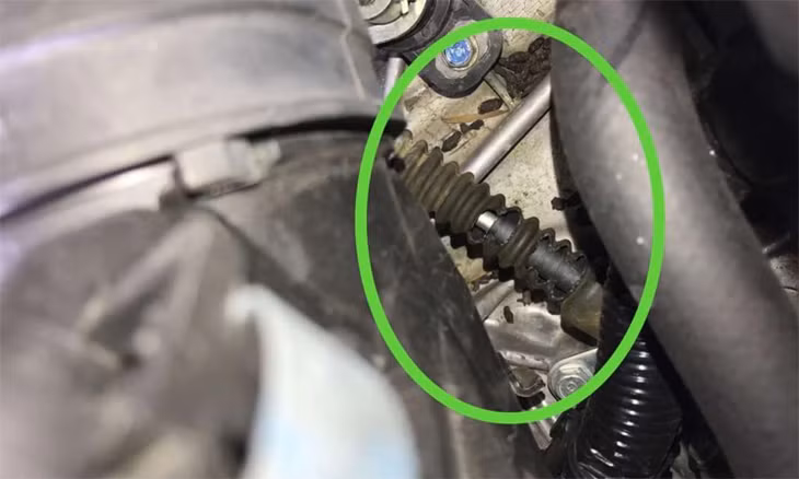 Dấu vết chuột cắn phá trong chiếc Honda Civic. Ảnh: David Albin