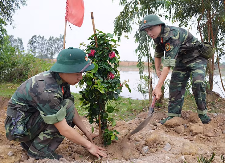 Lực lượng vũ trang thành phố trồng hoa giấy tạo cảnh quan môi trường
