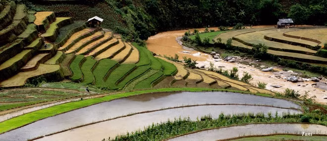 La Pán Tẩn, Chế Cu Nha, cầu Ba Nhà, bản Thái ở huyện Mù Cang Chải là những điểm du khách không thể bỏ qua.
