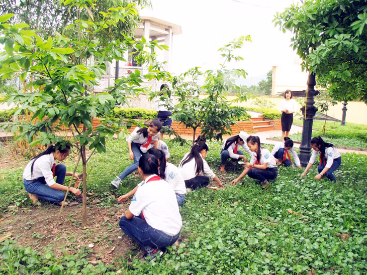 Học sinh Trường THCS Hồng Thái Tây chăm sóc vườn mai vàng Yên Tử tại Khu Di tích lịch sử lưu niệm Bác Hồ trên địa bàn.