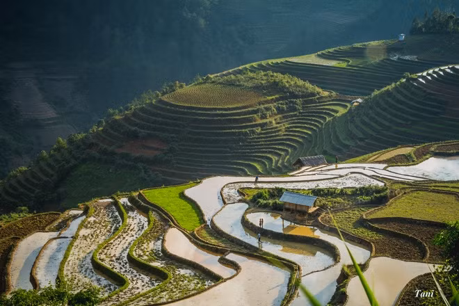 Nước được đổ đầy ở trên cao sau đó tràn xuống các ruộng dưới cùng.