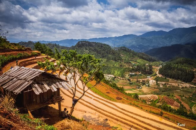 Họ cũng đón thêm nước từ những khe suối qua ống nứa vào ruộng để cấy cày.