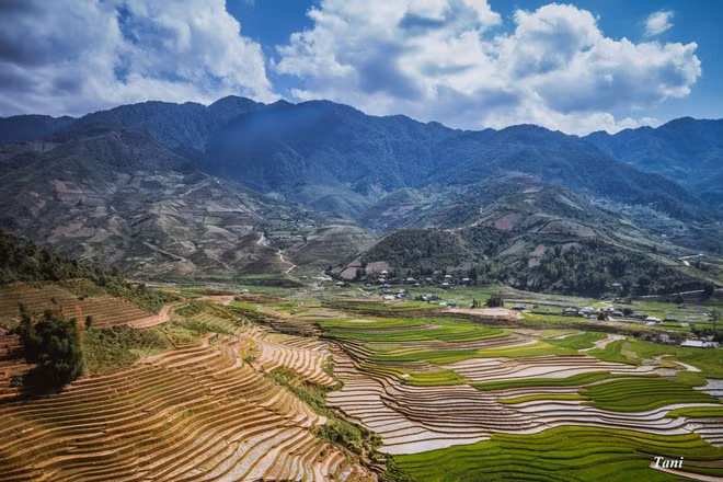 Thiên nhiên hùng vĩ ở Mù Cang Chải vào mùa nước đổ.