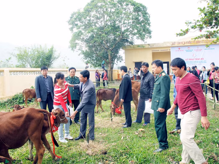 Người dân thôn Pò Hèn, xã Hải Sơn (TP Móng Cái) nhận bò giống từ Chương trình “Bò giống giúp người nghèo biên giới”. Ảnh: Trịnh Vân Anh (Ban Dân tộc tỉnh)
