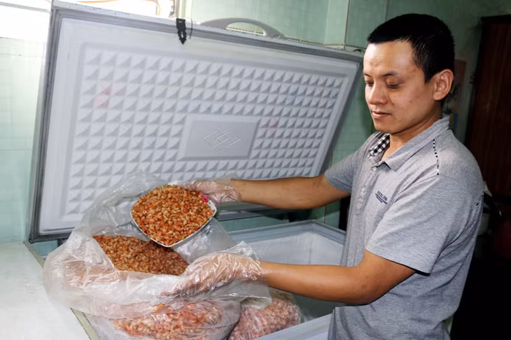 Bảo quản sản phẩm tôm khô tại cơ sở sản xuất của gia đình chị Phạm Thị Liên (xã Hạ Long, huyện Vân Đồn).