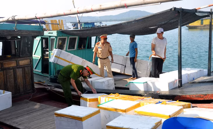 Công an huyện Cô Tô kiểm tra các phương tiện hoạt động kinh doanh, đánh bắt, thu mua hải sản tại địa phương, nhằm phát hiện, ngăn chặn kịp thời các vi phạm.
