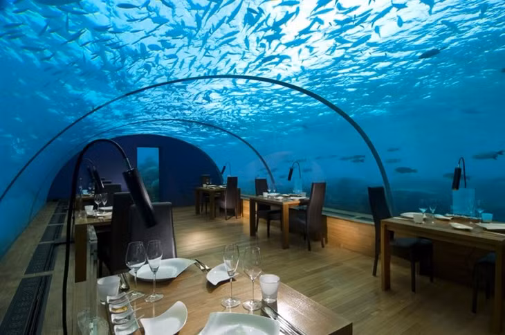  Conrad Maldives (Maldives): Đây là khách sạn được điều hành bởi tập đoàn lừng danh Hilton không chỉ có phòng ở dưới lòng đại dương mà chỉ có nhà hàng đẳng cấp, luôn thu hút đông du khách. 