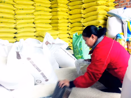 Doanh nghiệp tư nhân Dương Dung kiểm đếm hàng hoá dự trữ tại kho hàng của Công ty.
