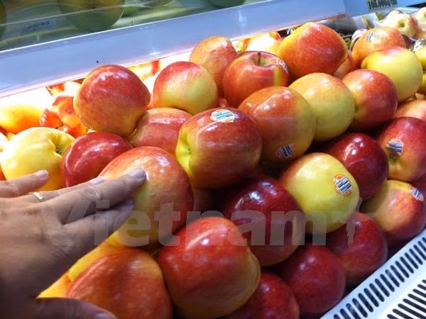  Táo Mỹ nhập khẩu vào Việt Nam không đến từ nhà sản xuất và không phải loại táo bị thu hồi ở Mỹ. (Ảnh: PV/Vietnam+) 