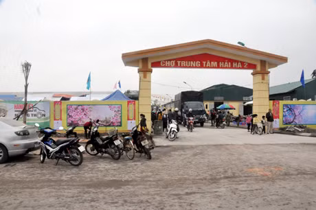 Nhộn nhịp ở chợ Trung tâm Hải Hà 2 ảnh 1