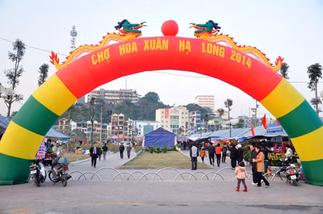 Chợ hoa xuân Hạ Long năm nay tiếp tục được tổ chức tại Công viên Hạ Long nằm ở trung tâm thành phố, thuận tiện cho giao thông.