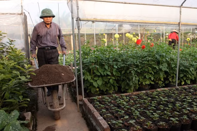 Hiện Xuân Quan có tổng diện tích đất canh tác gần 200 ha, nằm toàn bộ phía ngoài đê. Trước đây đất canh tác có đặc điểm là manh mún, nằm xen lẫn trong khu dân cư.