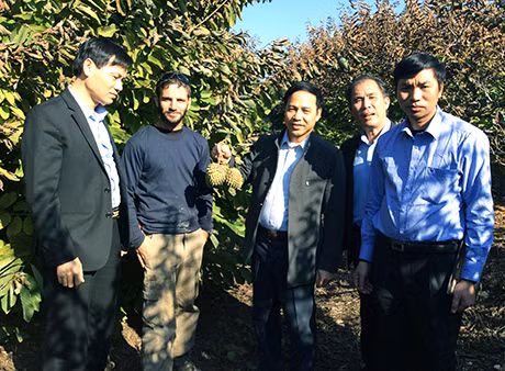 Đoàn công tác thăm trang trại trồng Na tại Haifa