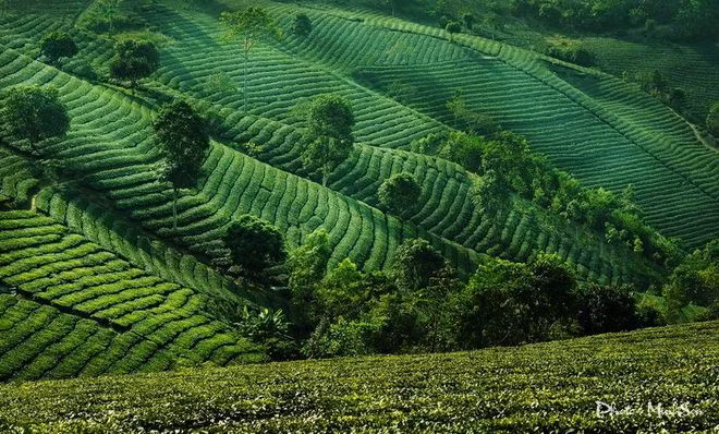 Đây là nơi cư trú của 4 thành phần dân tộc, bao gồm người Mông, Kinh, Dao, Tày, trong đó người Mông chiếm hơn 98% còn lại là các dân tộc khác.