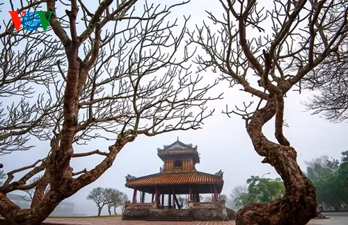 Phu Văn Lâu trong sương mù.